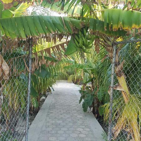 Auberge Pont-Gaudin Gonaives Exterior photo