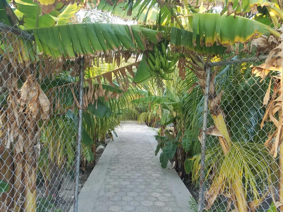 Auberge Pont-Gaudin Gonaives Exterior photo